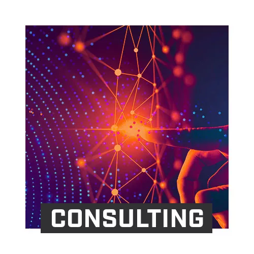 Consulting aérien et maritime